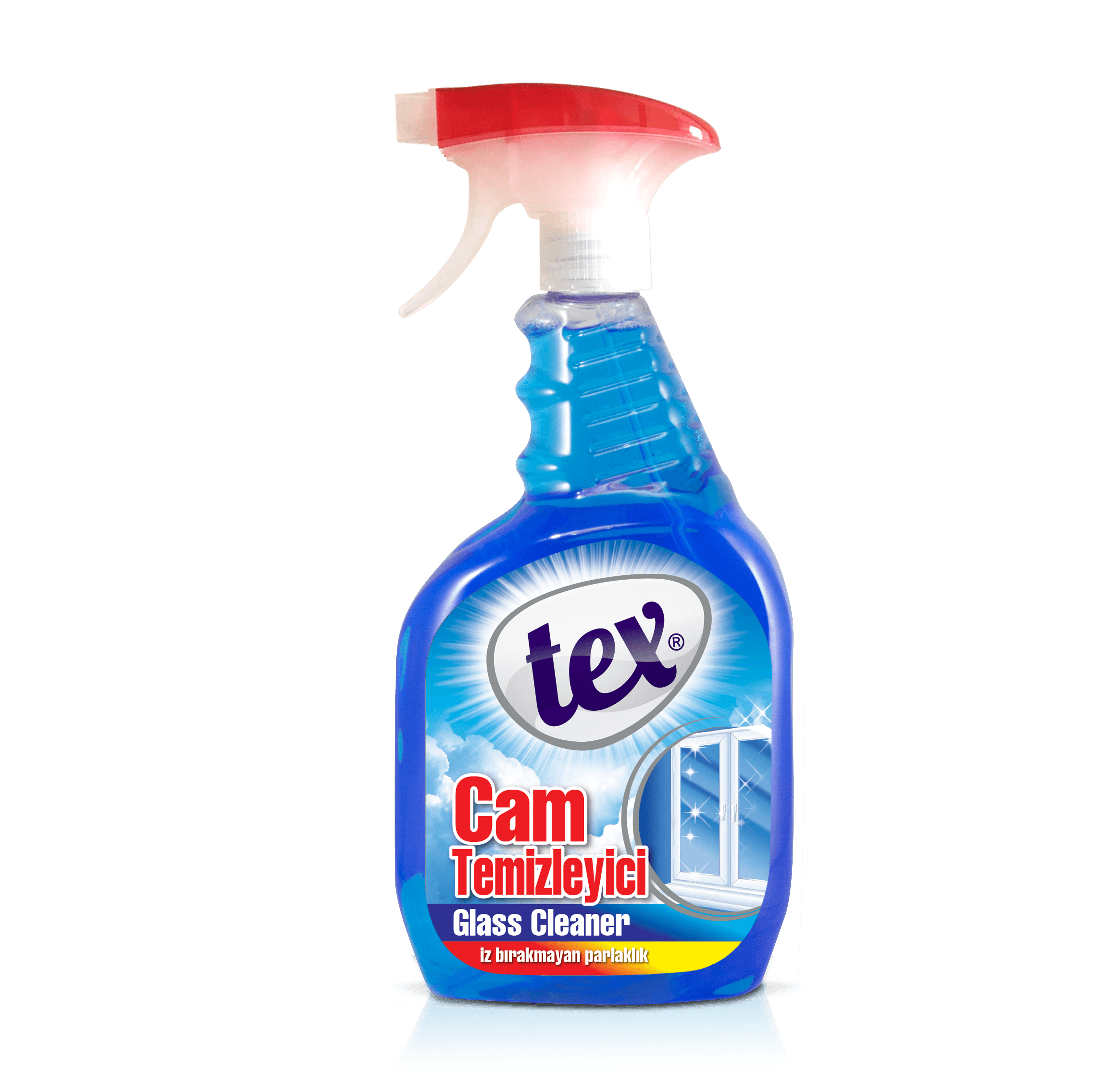 Tex Cam Temizleyici Sprey 750 ml