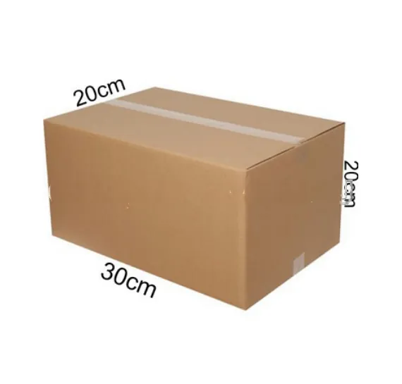 Taşıma Kolisi 30X20X20